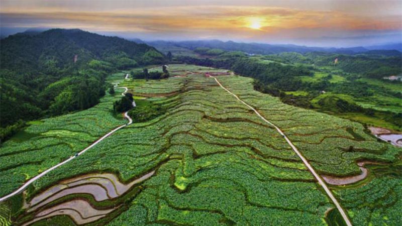 科技助力，農(nóng)旅結(jié)合 紅色老區(qū)建寧“綠色崛起”